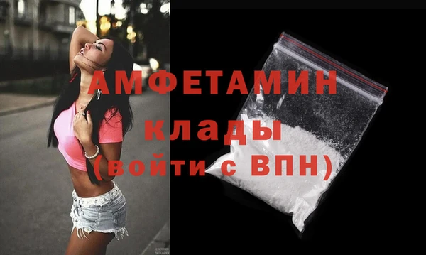 твердый Мегион