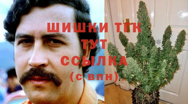 твердый Мегион