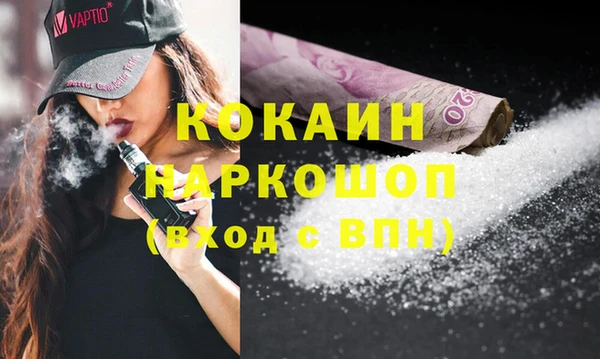 твердый Мегион