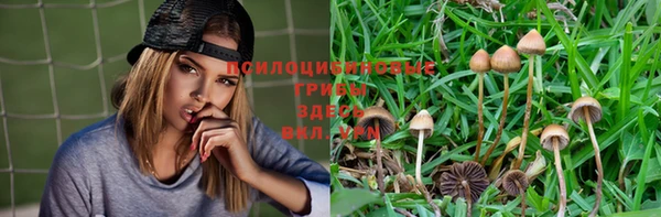 метадон Медногорск