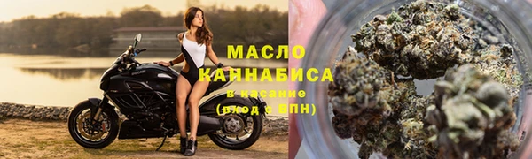 твердый Мегион