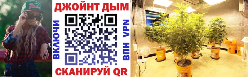Бошки марихуана сатива  Благовещенск 