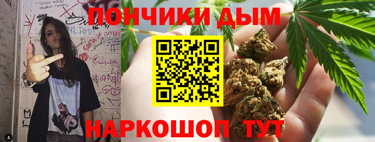 Каннабис сатива Благовещенск